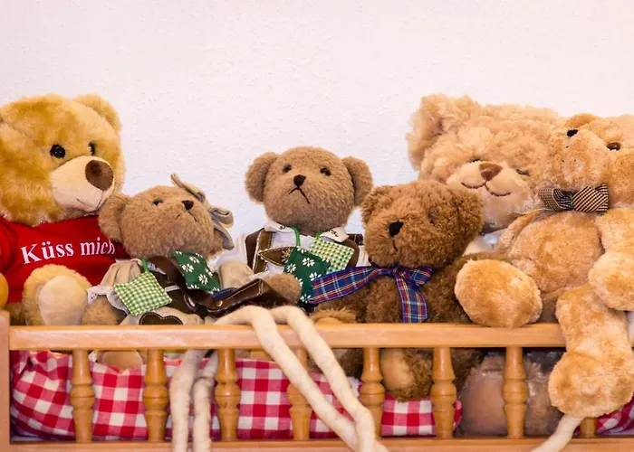 Buachbinder Hof 公寓 *